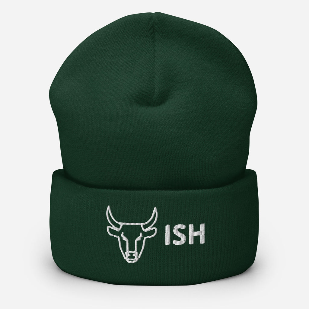 Bullish Embroidered - Beanie